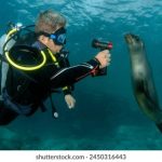 香蕉视频app网页地址 8mqg9