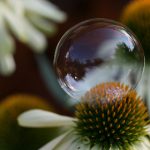 快穿总裁的负心前女友H s1fw8lc