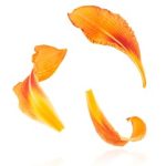 天天看电影网:畅享最新电影与热门剧集的最佳选择 11w39