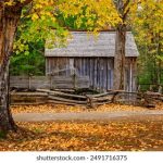 全面了解51testing官网:功能、服务与用户体验分析 cm8me