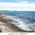 坚如磐石在线观看免费高清国语:畅享无广告的高清观影体验 ou21t