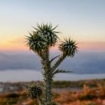 娱乐718:探索娱乐行业的新趋势与发展动态 un662nf