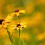 和minidiva类似的:探索更多女性时尚与个性化选择 zmexqp